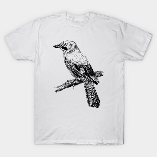 Jay bird print T-Shirt by rachelsfinelines